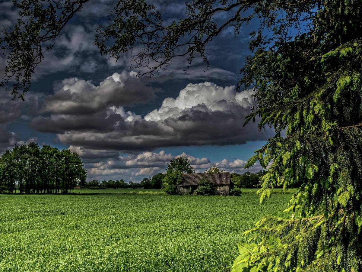 Staying In A Thatched Barn With Box Bed Beautiful View Region Achterhoek Geesteren  Exterior photo