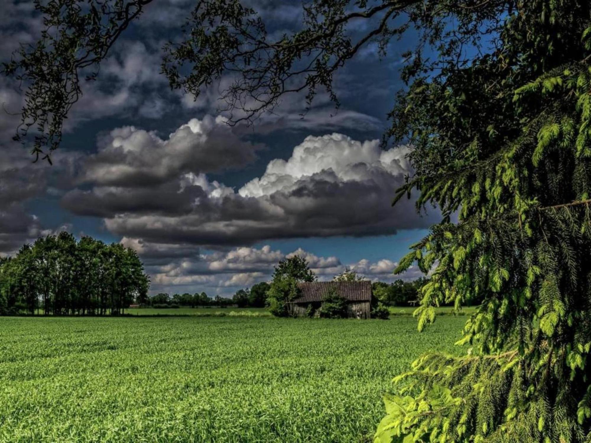 Staying In A Thatched Barn With Box Bed Beautiful View Region Achterhoek Geesteren  Exterior photo